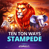 Ten Ton Ways Stampede